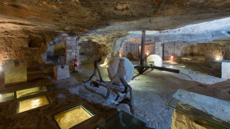 Puglia: Olive Oil Tasting Experience with Olive Grove Walk - The Itinerary in Detail