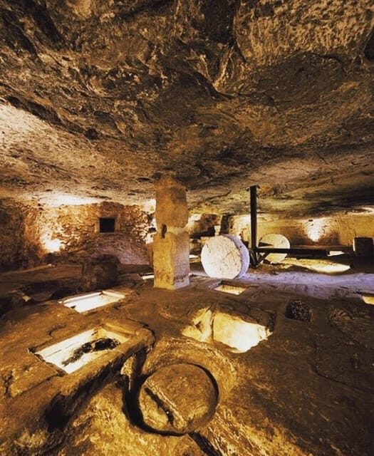 Puglia: Olive Oil Tasting Experience with Olive Grove Walk - Group Size, Duration & Practical Details