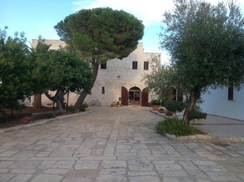 Puglia: Olive Oil Tasting Experience with Olive Grove Walk - Final Thoughts