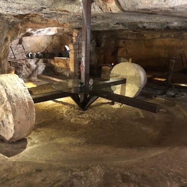 Puglia: Olive Oil Tasting Experience with Olive Grove Walk - FAQ