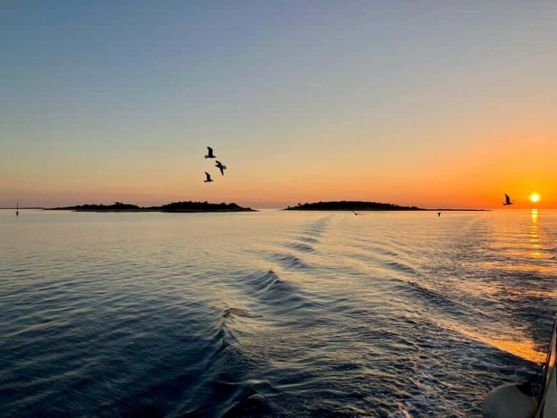 Pula: Brijuni National Park Sunset Cruise with Open Bar - An In-Depth Look at the Brijuni Sunset Cruise Experience