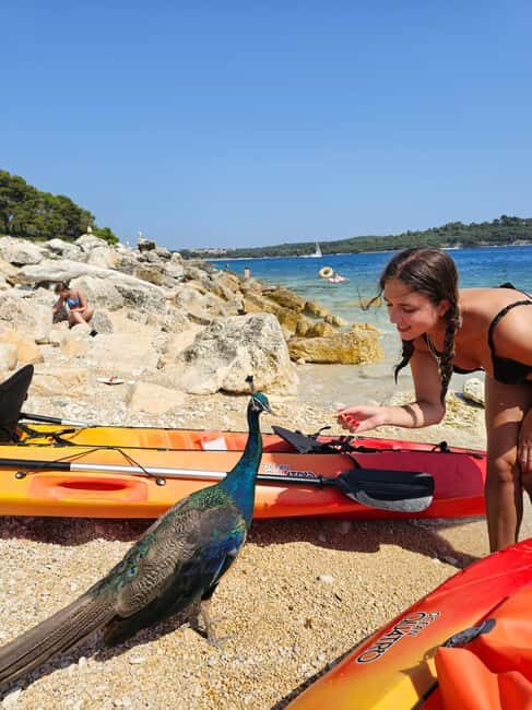 Pula: Kayak Tour to Island St. Jerolim and Kozada - A Closer Look at the Tour Experience