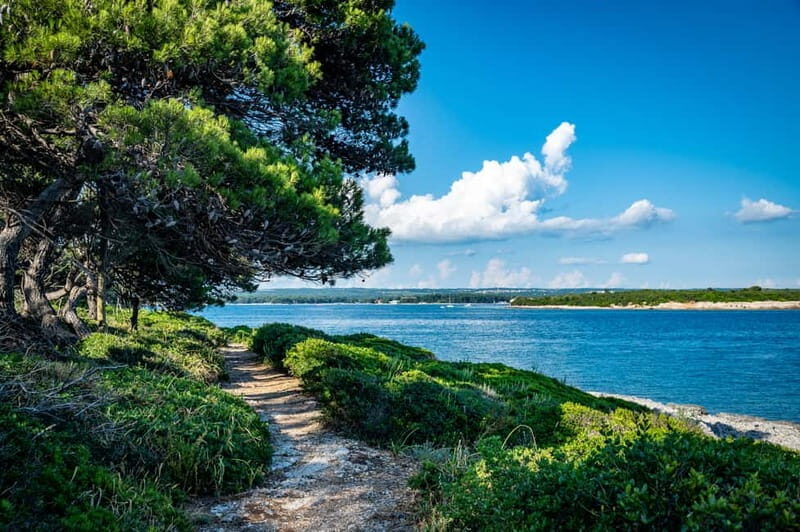 Pula: National Park Brijuni/2 swimming stops/lunch/drinks - Key Points