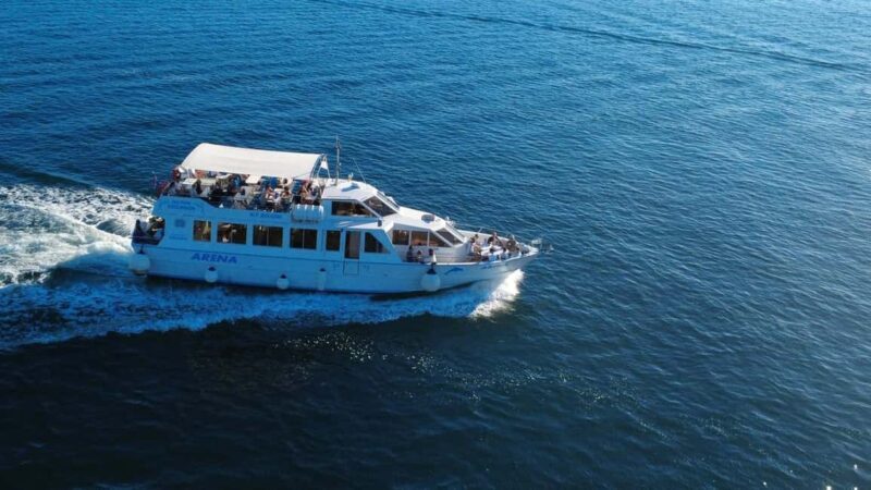 Pula: New Year Special Dolphin Sunset Cruise & Dinner - An Honest Look at the Experience