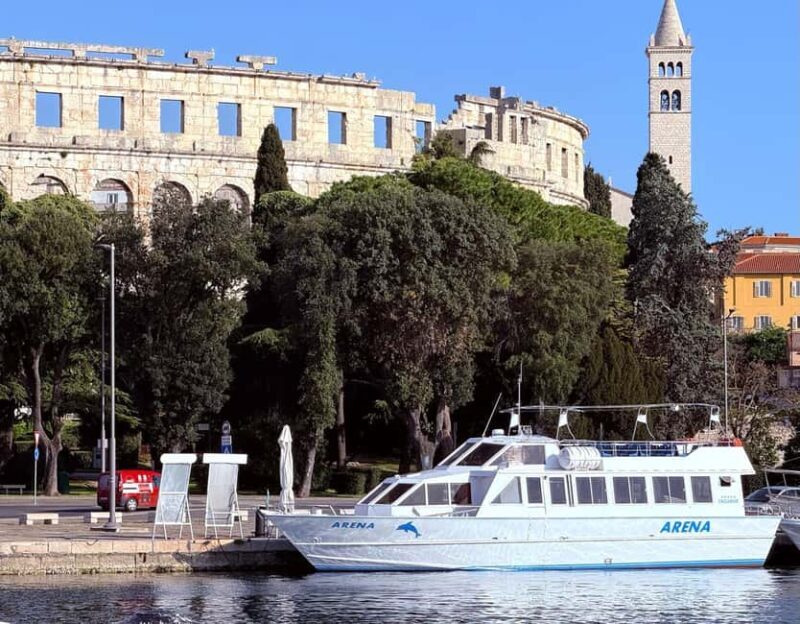 Pula: New Year Special Dolphin Sunset Cruise & Dinner - The Return and Overall Atmosphere
