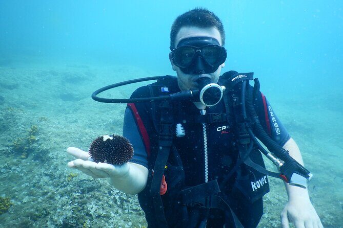 Pula PRIVATE Discover Scuba Diving - What to Expect from the Pula Private Discover Scuba Diving Experience