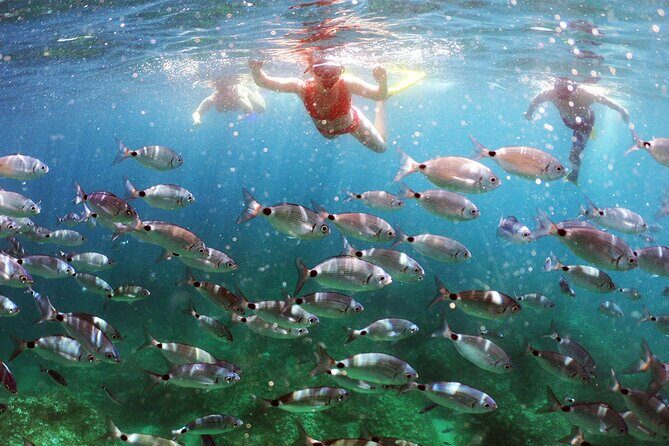 Pula PRIVATE Discover Scuba Diving - Possible Drawbacks or Considerations