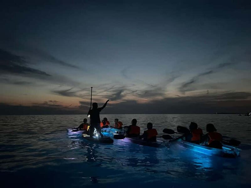 Pula: Sunset/Night Illuminated Transparent Kayak Tour - Who Will Love This Tour?
