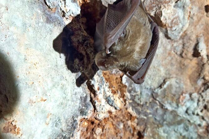 Pulo di Altamura: excursion in the Alta Murgia National Park - The Itinerary: What to Expect