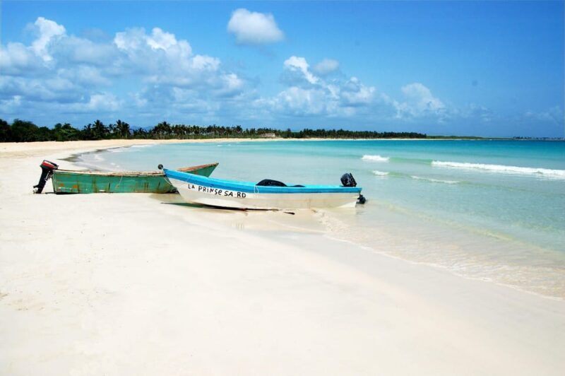 Punta Cana: Saona Island Full-Day Open Bar, Lunch & Transfer - Final Thoughts