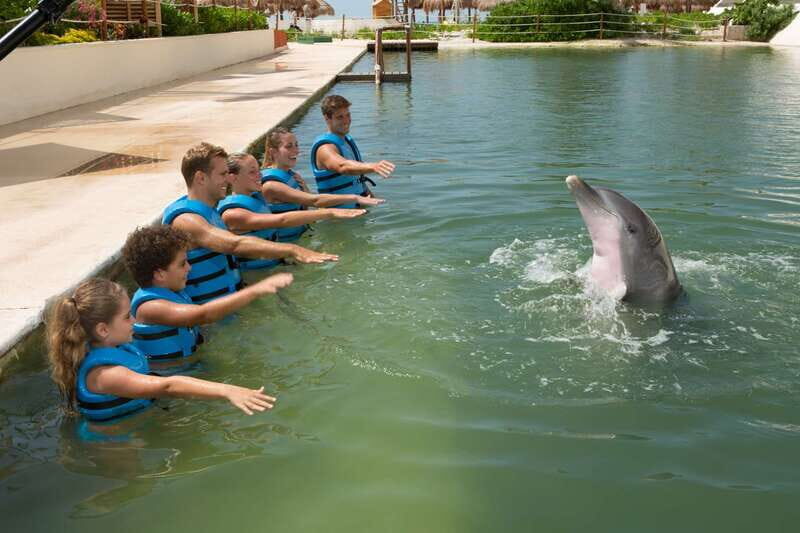 Punta Cancun: Swim with dolphins Interax - What the Reviews Say