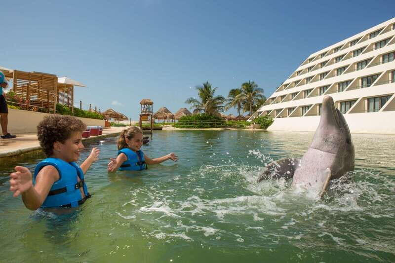 Punta Cancun: Swim with dolphins Interax - Who Is This Tour Best For?