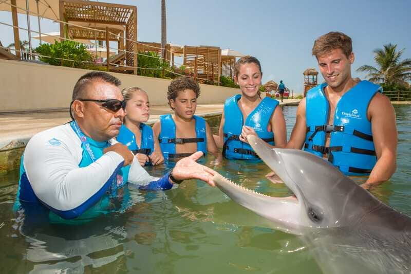 Punta Cancun: Swim with dolphins Primax - Final Thoughts