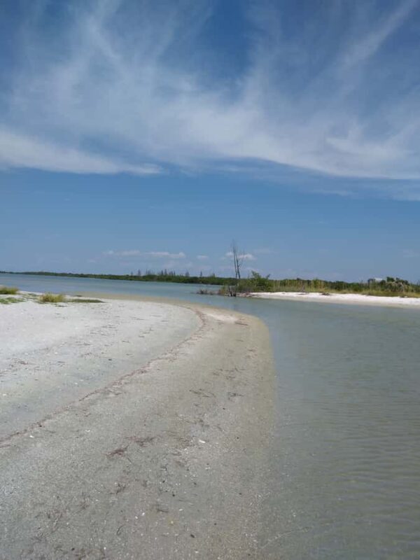 Punta Gorda /Boca Grande: Barrier Island Shelling Tour - Exploring Florida’s Barrier Islands: A Shelling Adventure from Punta Gorda