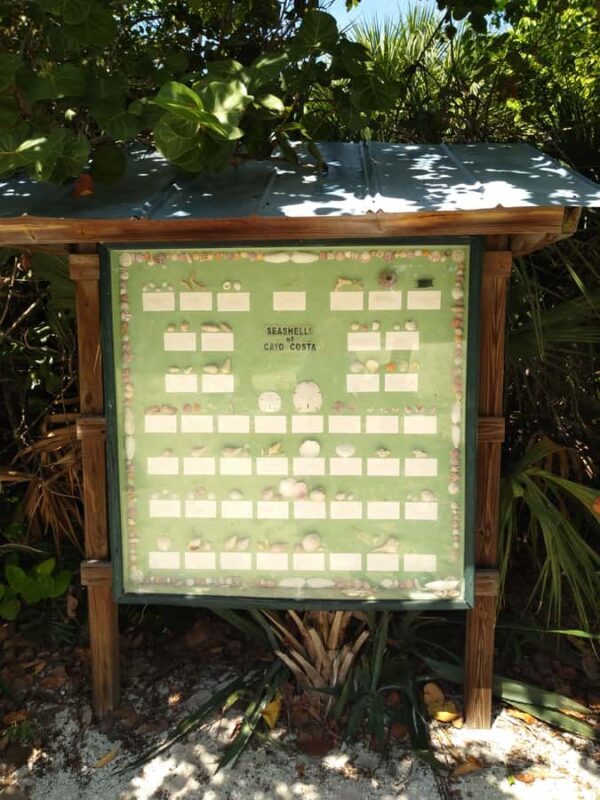 Punta Gorda /Boca Grande: Barrier Island Shelling Tour - Key Points