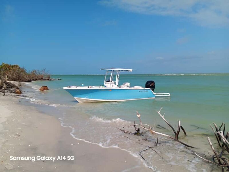 Punta Gorda/Boca Grande: Cayo Costa State Park Boat Tour - What’s This Tour All About?