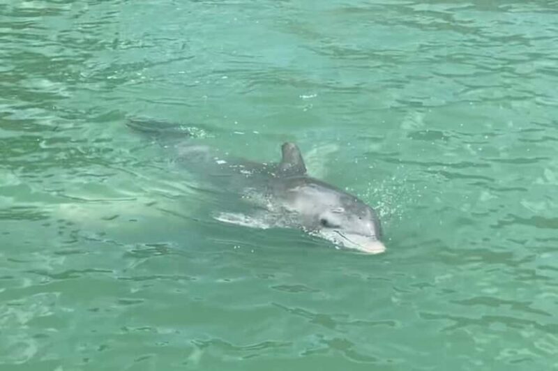 Punta Gorda/Boca Grande: Sandbar Cruise with Captain - The Itinerary and Water Time