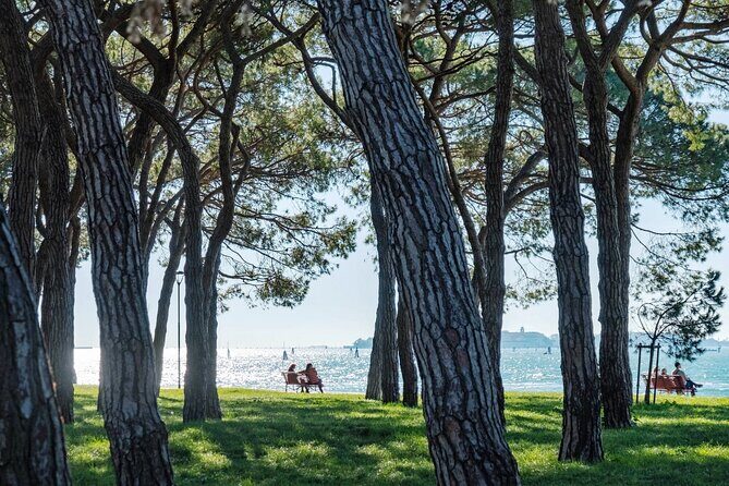 Punta Sabbioni to Venice Round-Trip Boat Ticket - Practical Tips to Make Your Trip Easier