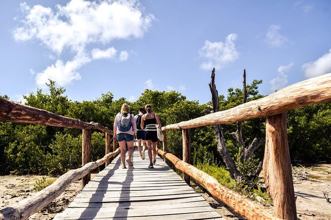 Punta Sur Eco Beach Park Electric Bike Tour in Cozumel - Key Points
