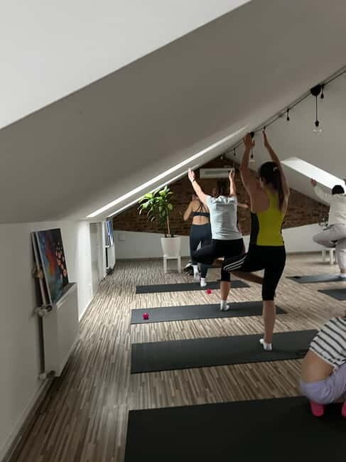 Puppy Yoga in Riga - What to Expect from Puppy Yoga in Riga