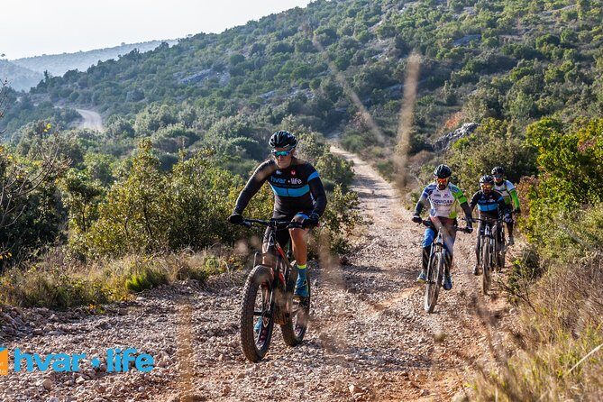 Pure Cycling Mtb Experience - A Closer Look at the Pure Cycling Mtb Experience