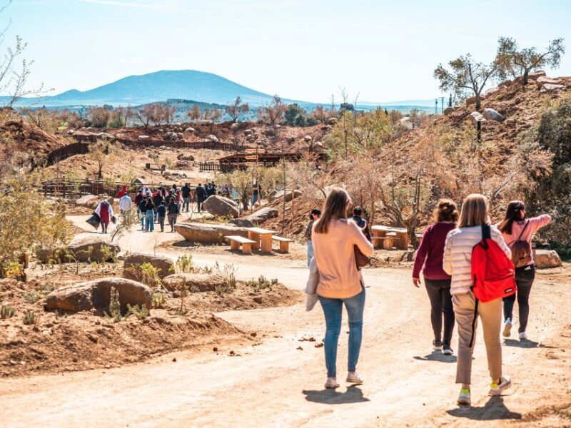 Puy du Fou España and El Sueño de Toledo Entry - The Value of the Experience