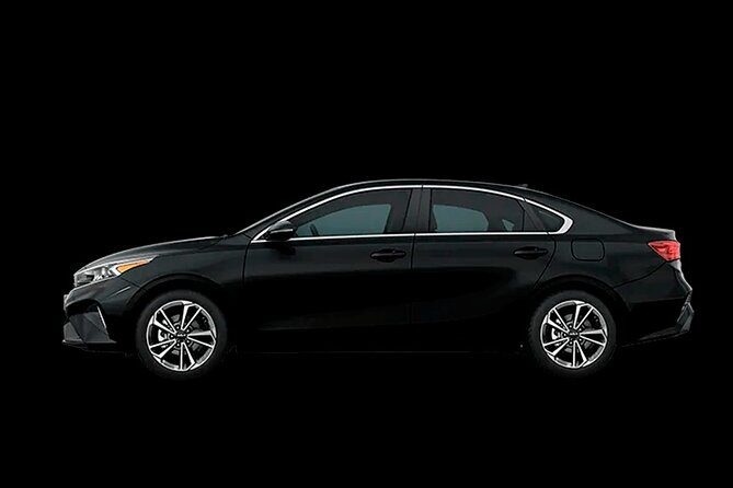 PVR VIP Round trip transfers - Airport - Marina hotels - Airport - A Closer Look at the Experience