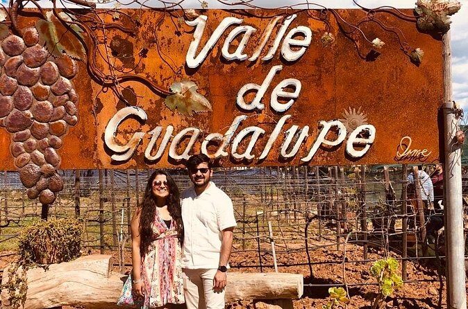 Pvt Wine Tastings + Cheese Store + Massage Shore Excursion - Who Will Benefit Most from This Tour?