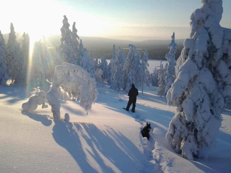 Pyhä: Skiing Tour in Arctic Forest - FAQ