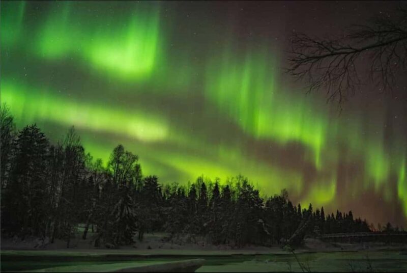 Pyhätunturi: Northern Lights Hunting Tour with Hot Drinks - Key Points