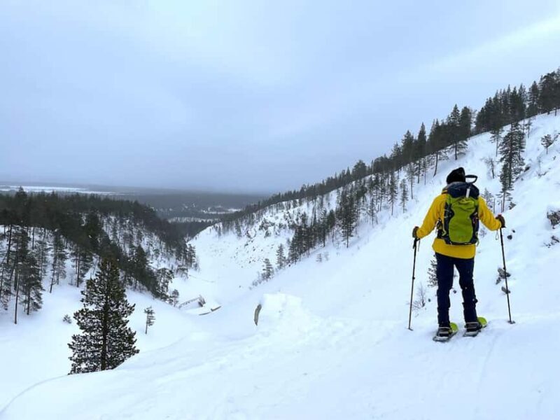 Pyhätunturi: Private Snowshoeing Tour With Local Guide - What Is the Pyhätunturi Snowshoeing Tour?
