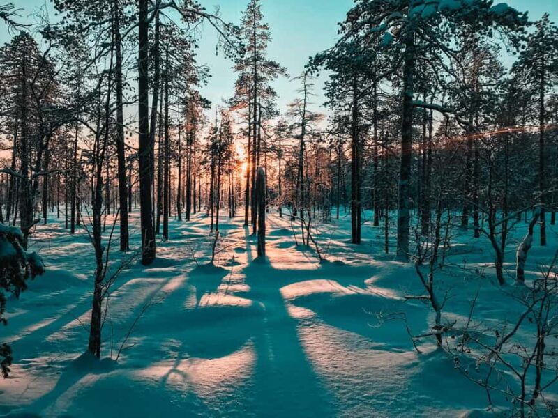 Pyhätunturi: Private Snowshoeing Tour With Local Guide - The Practical Side: Logistics and Value