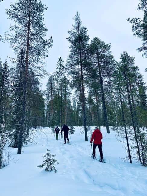 Pyhätunturi: Private Snowshoeing Tour With Local Guide - Final Thoughts: Is it Worth It?