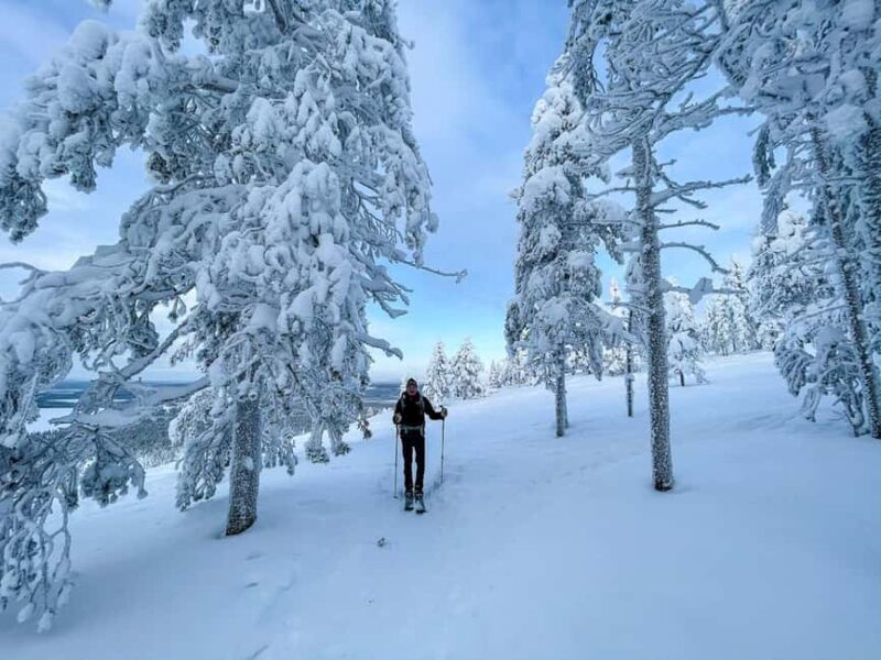 Pyhätunturi: Private Wilderness Skiing Tour With Local Guide - Exploring the Pyhätunturi Private Wilderness Skiing Tour — A Genuine Look