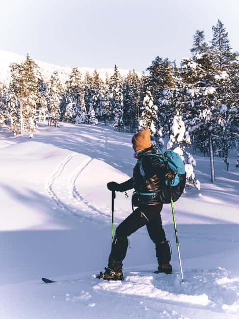 Pyhätunturi: Private Wilderness Skiing Tour With Local Guide - What Is the Wilderness Skiing Tour at Pyhätunturi?