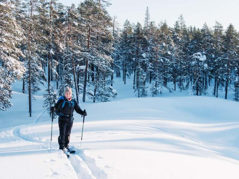 Pyhätunturi: Private Wilderness Skiing Tour With Local Guide - The Scenery and Landscape