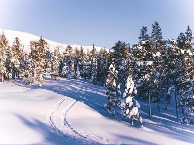 Pyhätunturi: Private Wilderness Skiing Tour With Local Guide - FAQs