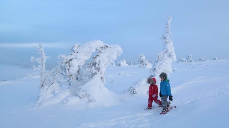 Pyhätunturi: Scenic Snowshoeing Tour in Finnish Lapland - Who Is This Tour Best Suited For?