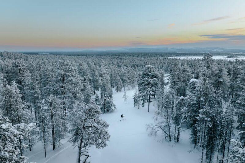 Pyhätunturi: Try Wilderness Skiing in Finnish Lapland - Who Would Love This Tour?