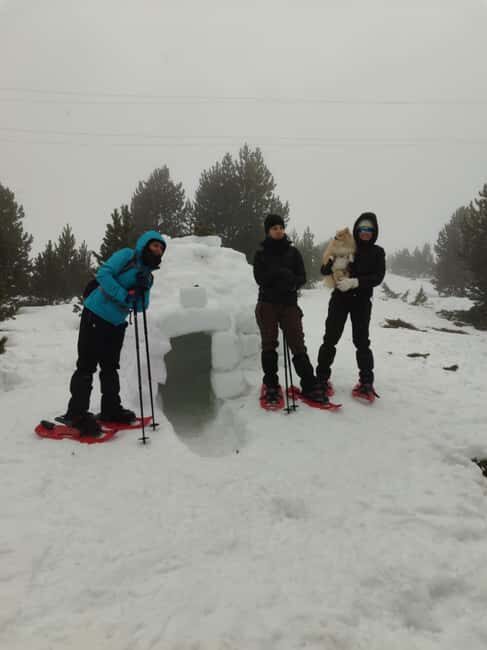 Pyrenees: Family Snowshoe Tour and Igloo Building - What to Expect from the Snowshoe and Igloo Tour