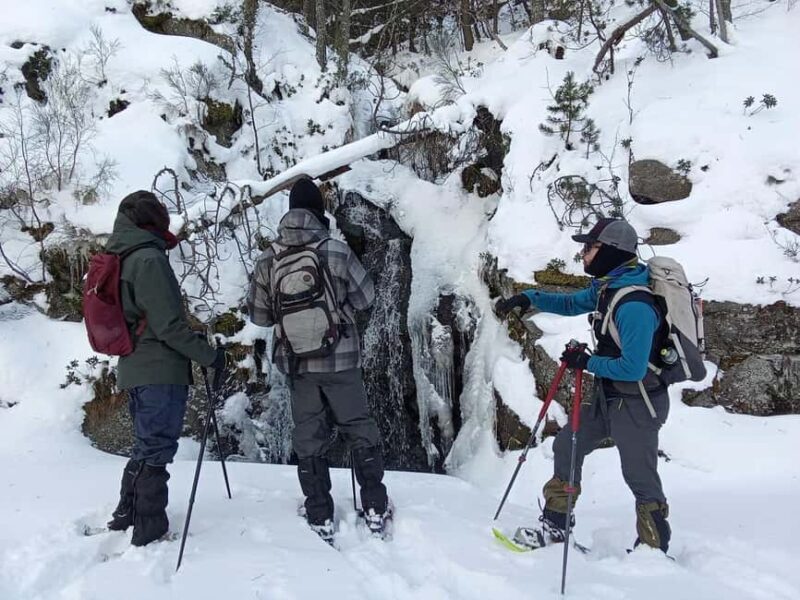 Pyrenees: Family Snowshoe Tour and Igloo Building - Practical Details: What You Need to Know