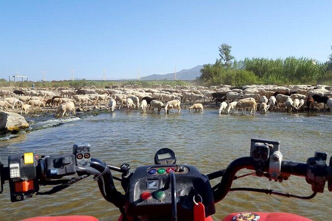 Quad Bikes for Guided Tours. - The Details That Make a Difference