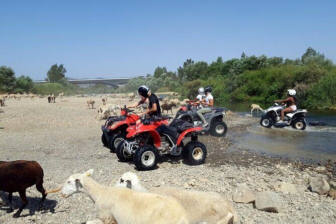 Quad Bikes for Guided Tours. - Real Travelers’ Perspectives