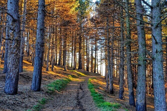 Quad Buggy Excursion Tour - FAQs