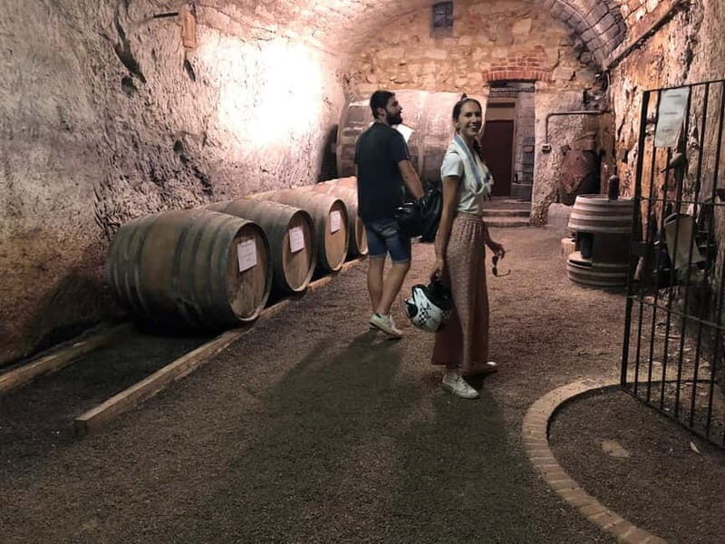Quad & E-Bike - Monferrato Hills - Unesco Cellars Tour - The Experience in Detail: Breakdowns and Insights