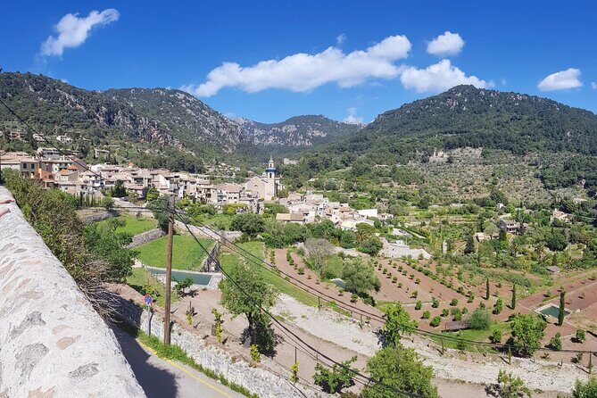 Quad tour from Paguera 3 hours - Additional Resources