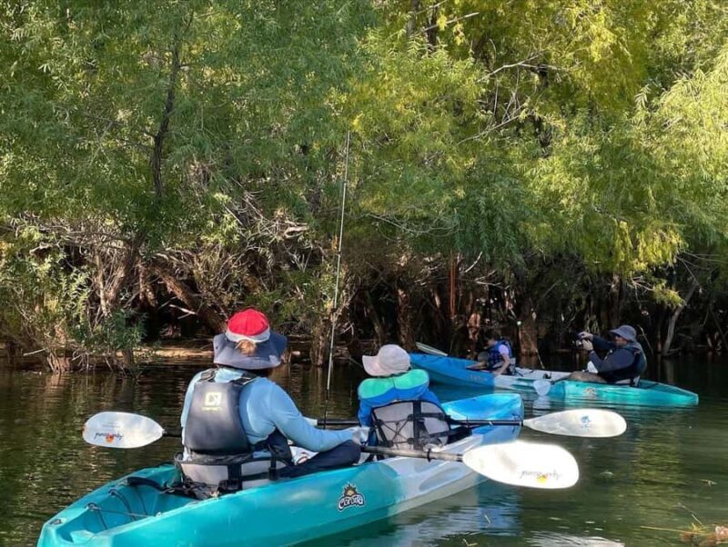 Quail Creek: Kayak or Stand-Up Paddleboard Tour - Key Points