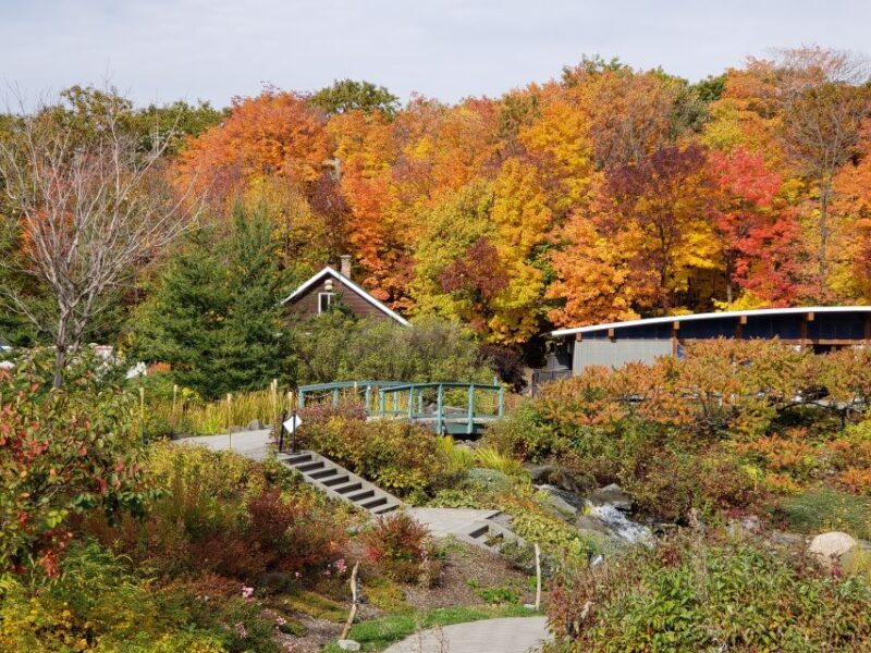 Quebec: Aquarium du Quebec Entry Ticket - Who Should Visit