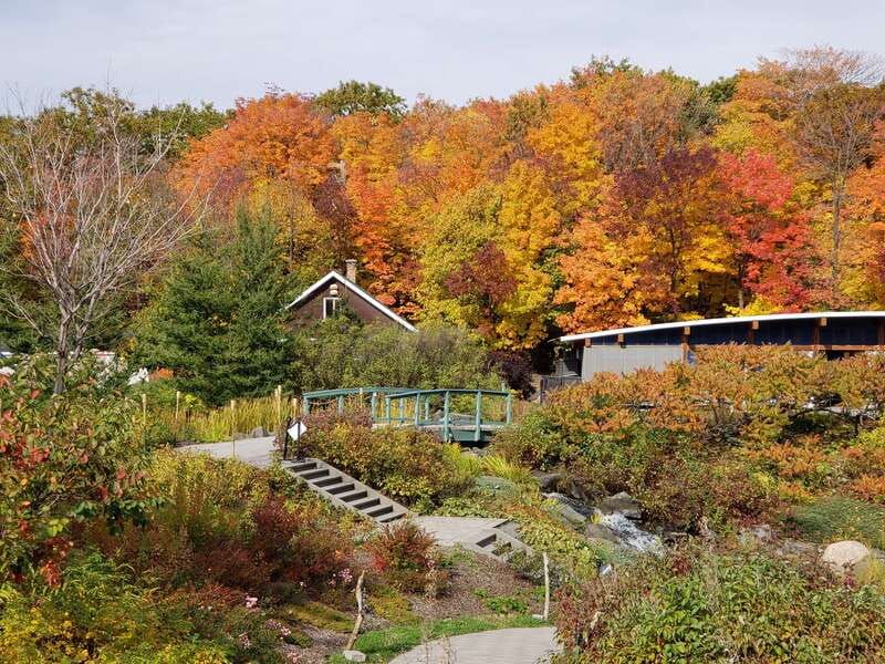 Quebec: Aquarium du Quebec Entry Ticket - Invertebrates and Canada’s marine life: the quieter magic