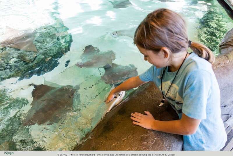 Quebec: Aquarium du Quebec Entry Ticket - The stingray moment: touch, interaction, and memories